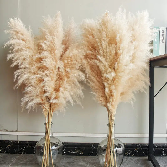 40" Inch 10 Stems Natural Pampas Grass Decor Tall, Pompas Grass, Tall Pampas Grass for Wedding, Party, Farmhouse, Boho Home Decor